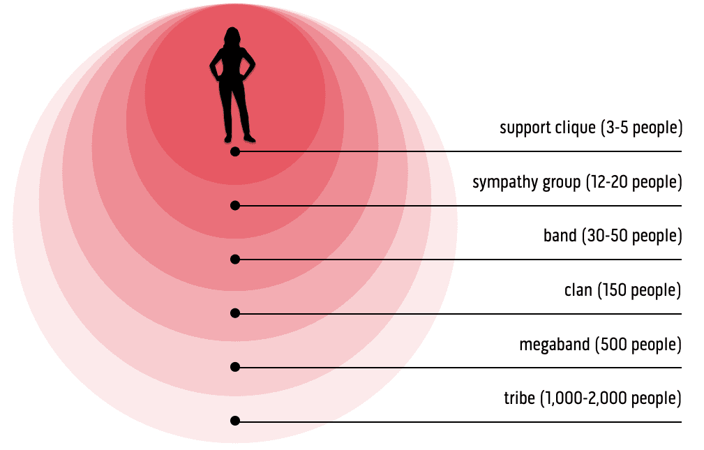 Social group sizes.