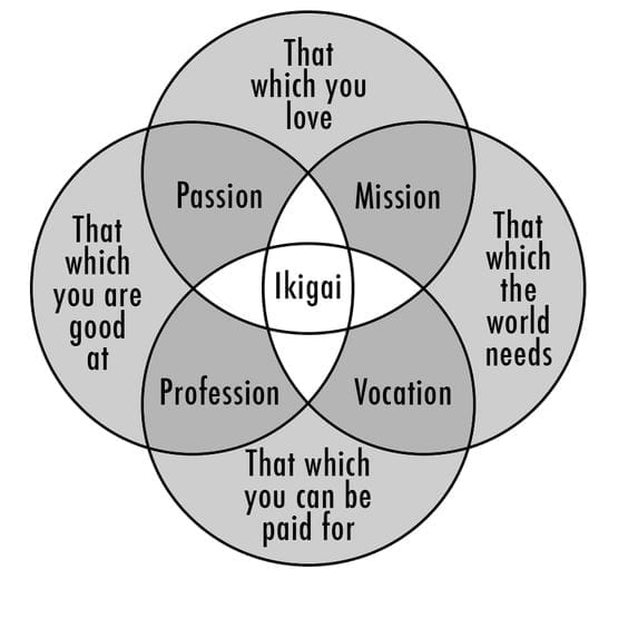 The Ikigai Test.