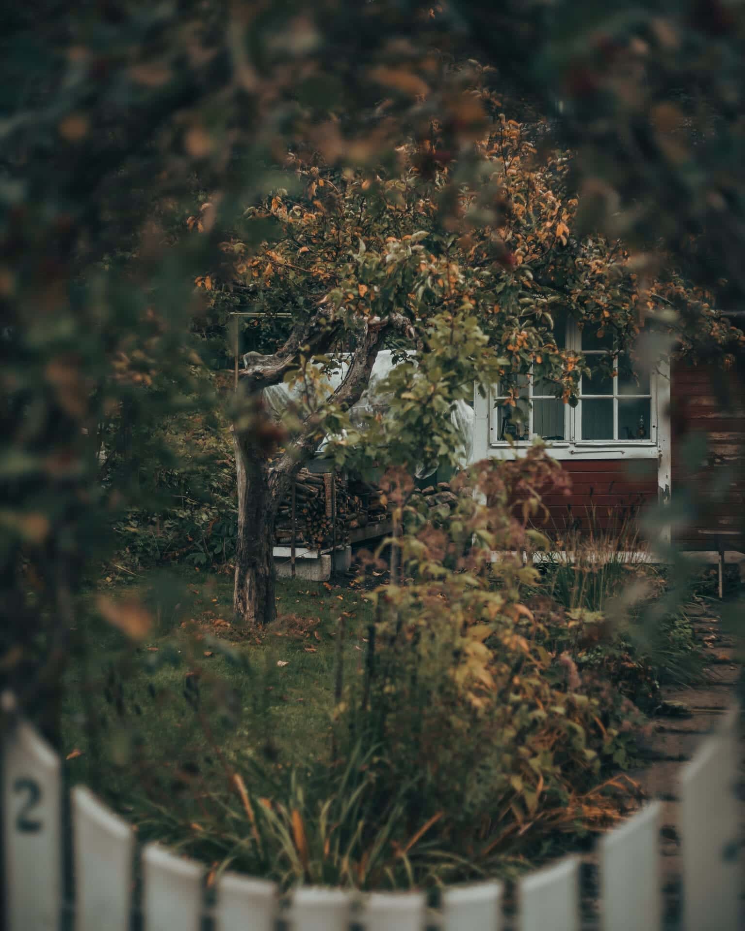 Peeking into a garden.