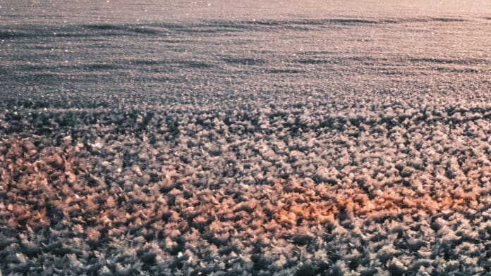 Crispy frost on lake.