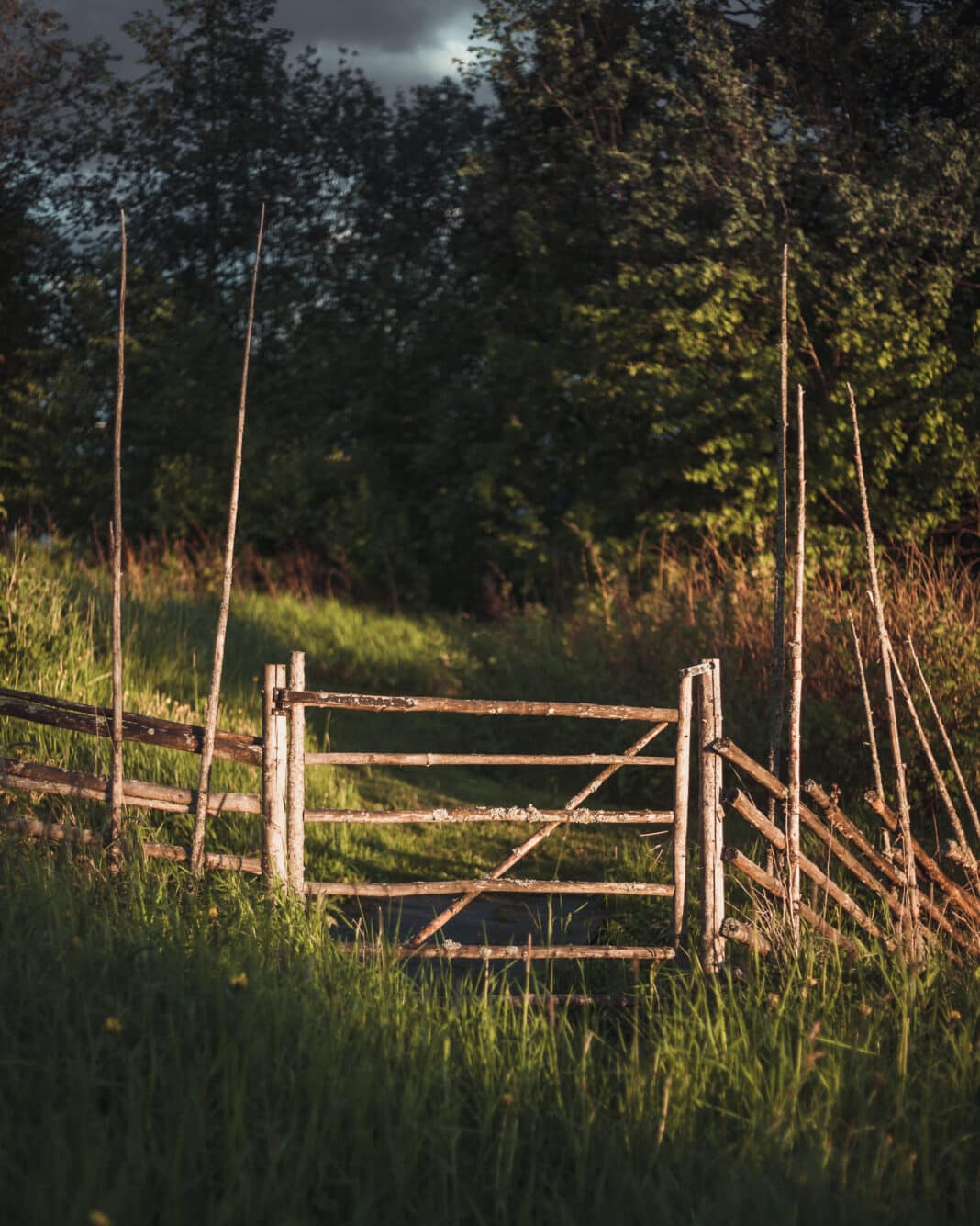 The Summer Gate