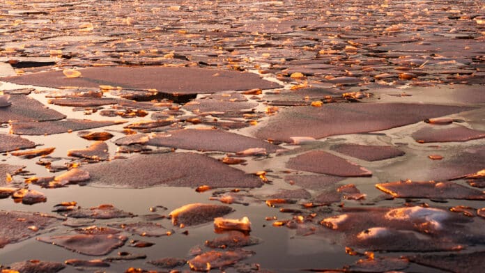 Fractured ice on a sunny lake.