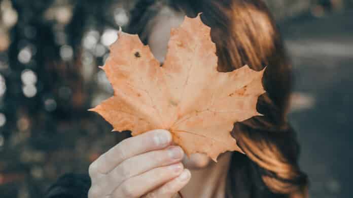 A girl holding a yellow leaf in front of her face.