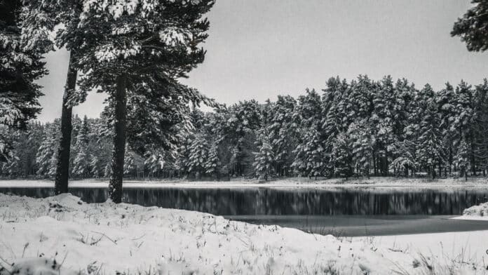 Black lake in a snowy landscape.