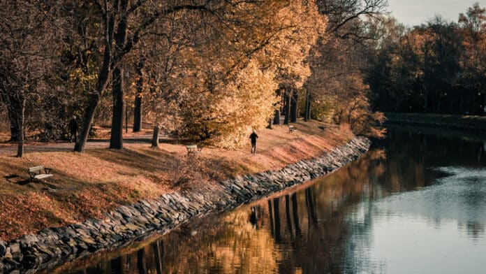 Jogging by the river in autumn.