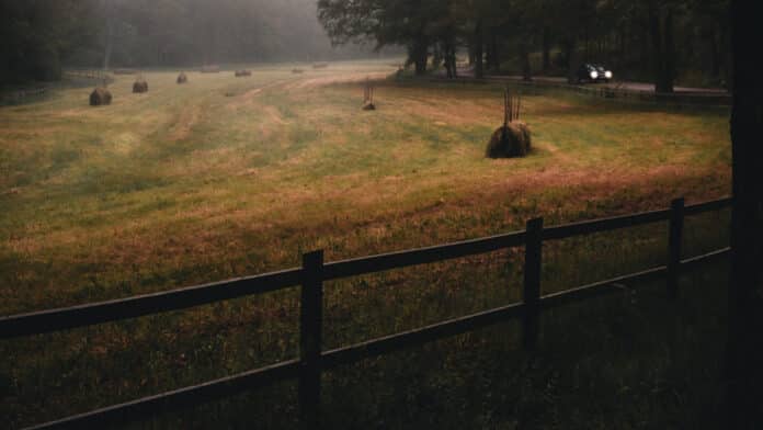 Car driving through a rural landscape.