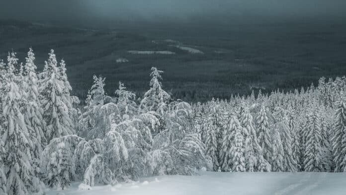 Snowy vista in Dalarna, Sweden.