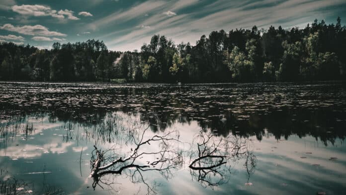 Swedish lake in late summer.